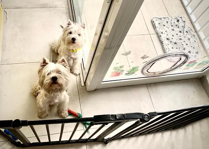 Private En-suite With Balcony In Shared * Pietà